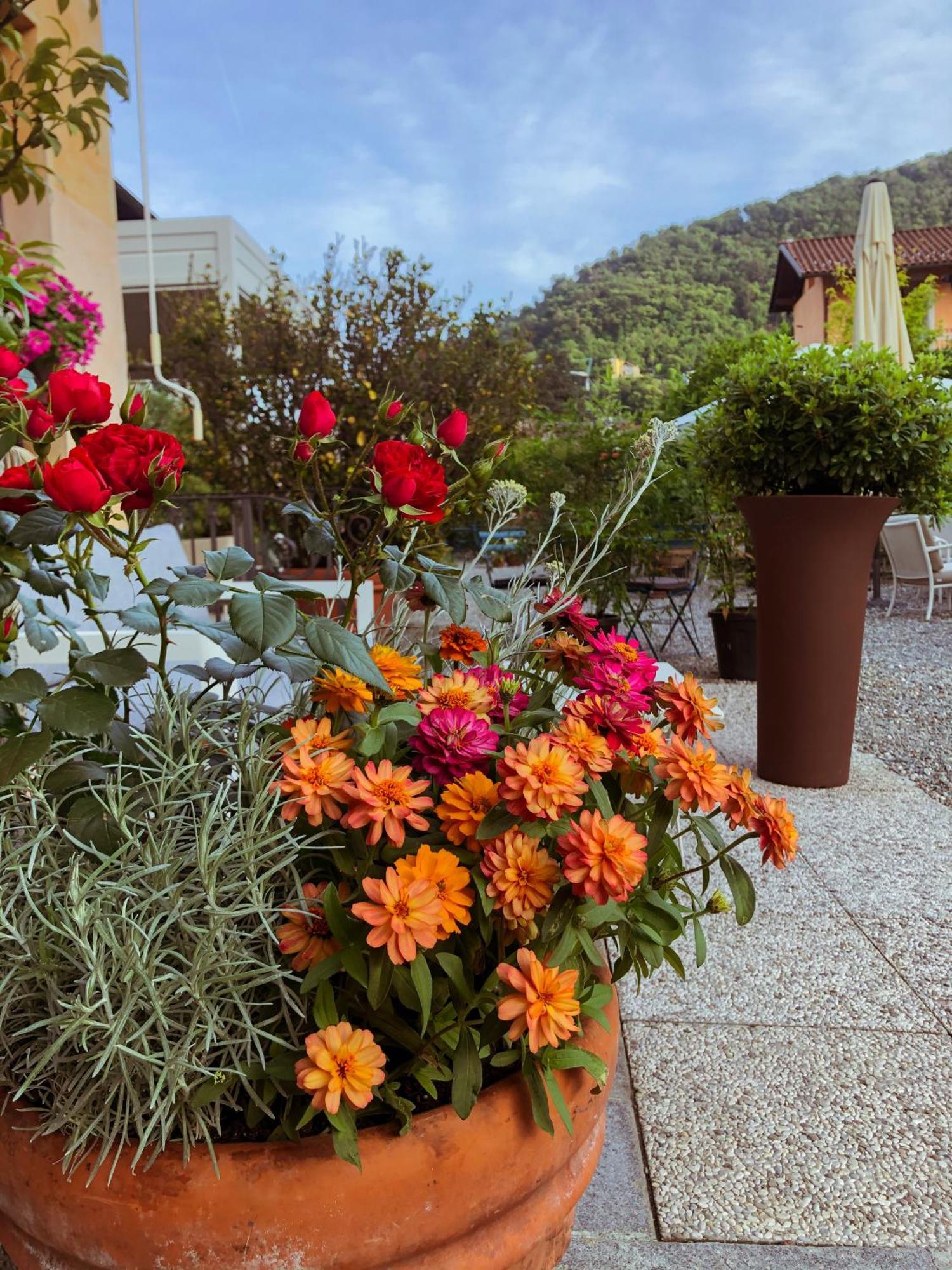 Hotel Antica Stallera Cannobio Exterior foto